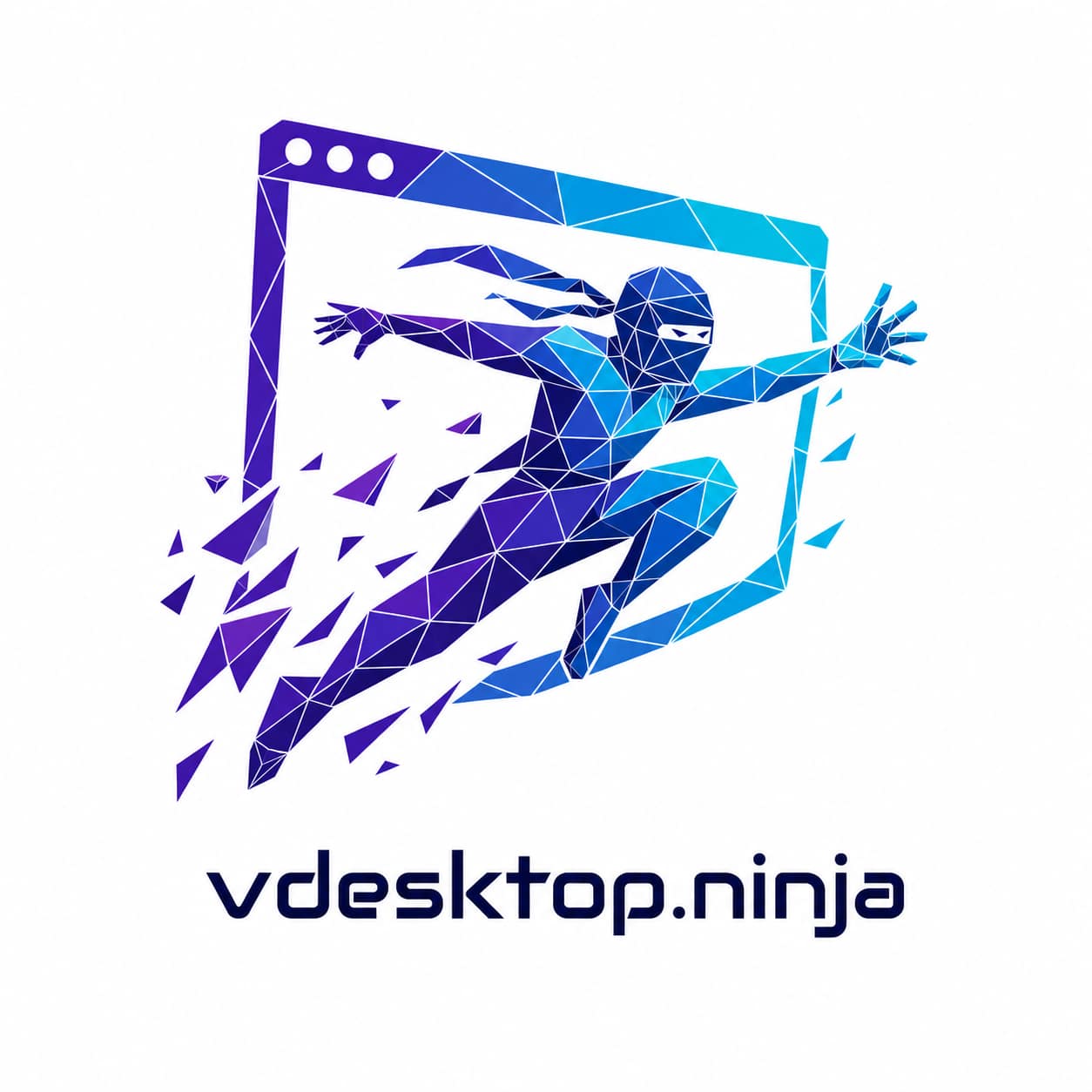 vdesktop.ninja